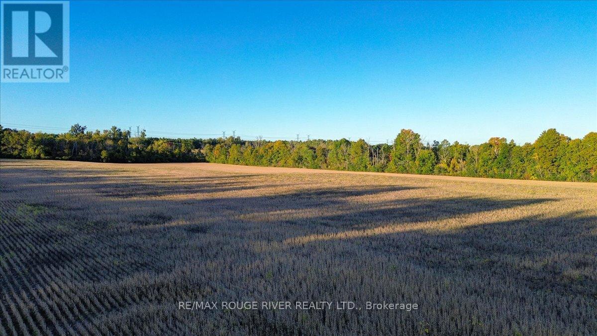 190 Mcbride Road, Alnwick/haldimand, Ontario K0K 1C0 - Photo 25 - X12436222