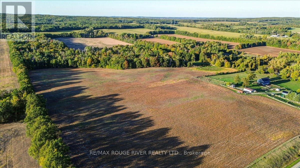 190 Mcbride Road, Alnwick/haldimand, Ontario K0K 1C0 - Photo 22 - X12436222