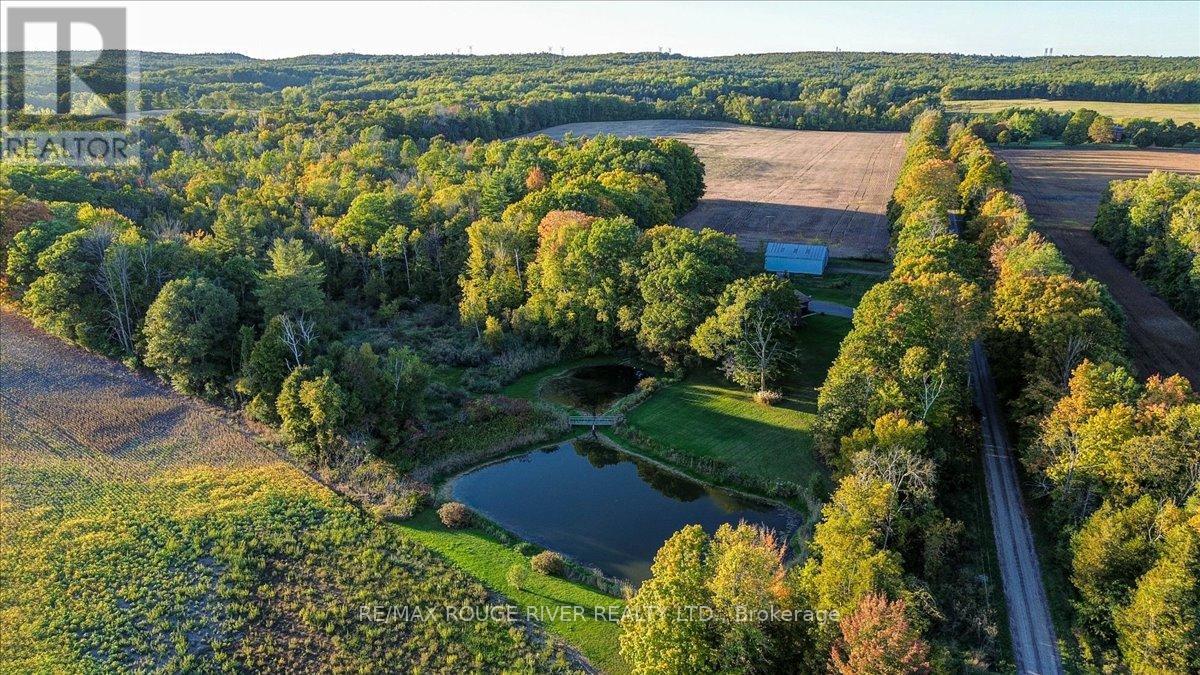 190 Mcbride Road, Alnwick/haldimand, Ontario K0K 1C0 - Photo 27 - X12436222