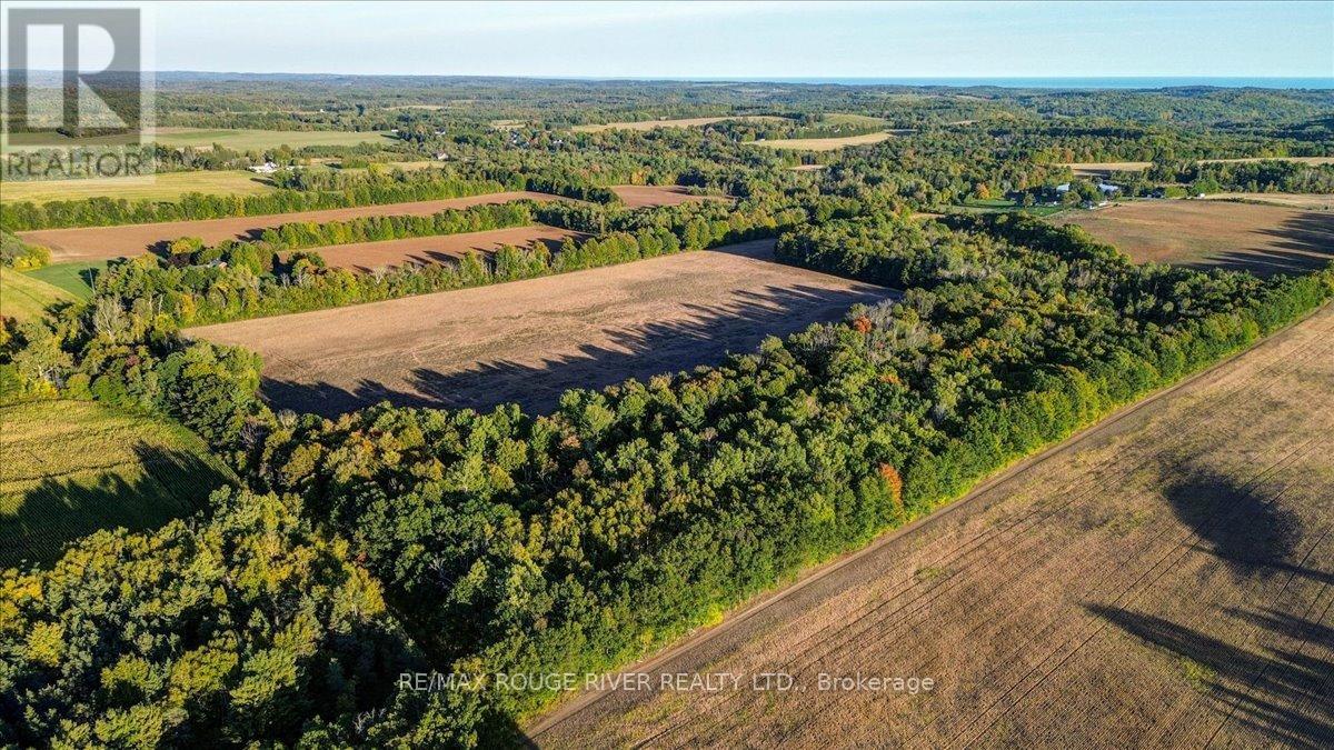 190 Mcbride Road, Alnwick/haldimand, Ontario K0K 1C0 - Photo 23 - X12436222