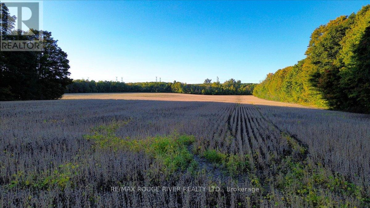 190 Mcbride Road, Alnwick/haldimand, Ontario K0K 1C0 - Photo 31 - X12436222