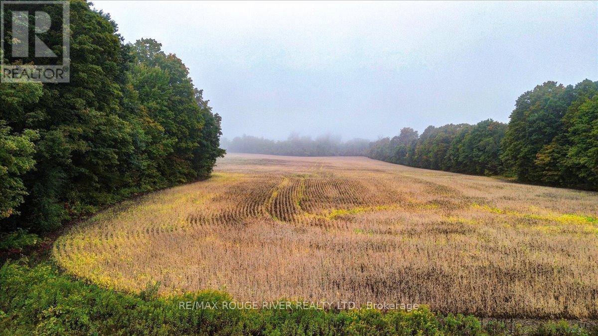 190 Mcbride Road, Alnwick/haldimand, Ontario K0K 1C0 - Photo 30 - X12436222