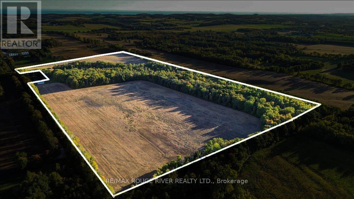 190 Mcbride Road, Alnwick/haldimand, Ontario K0K 1C0 - Photo 8 - X12436222