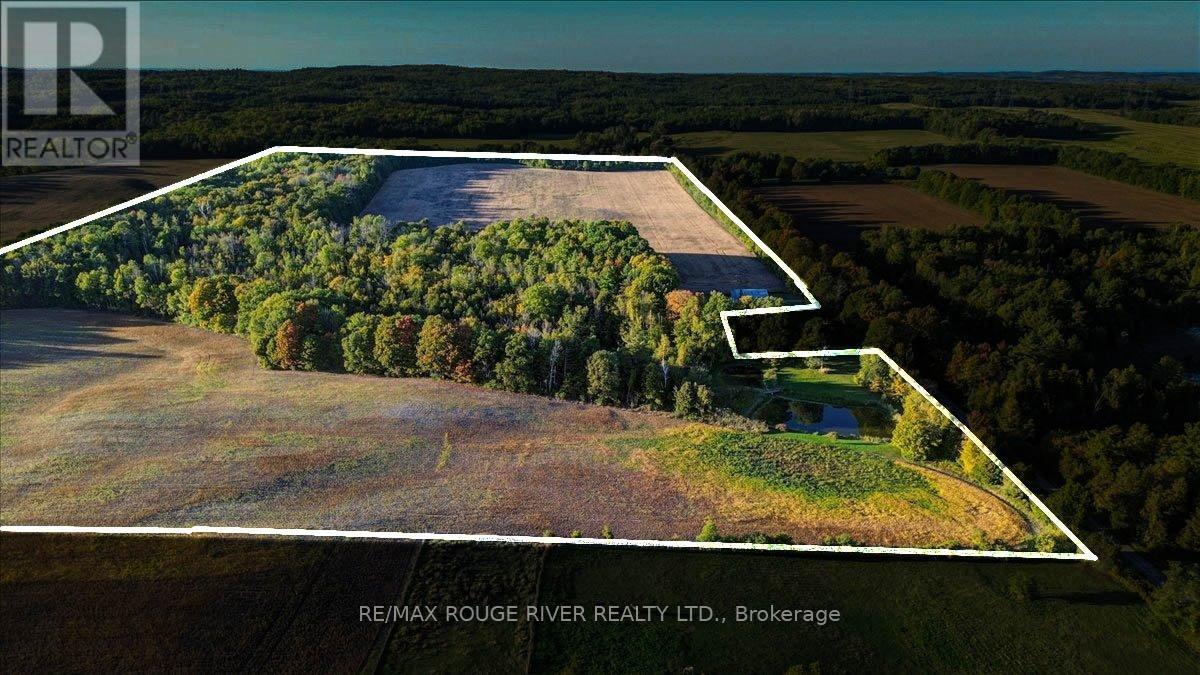 190 Mcbride Road, Alnwick/haldimand, Ontario K0K 1C0 - Photo 7 - X12436222