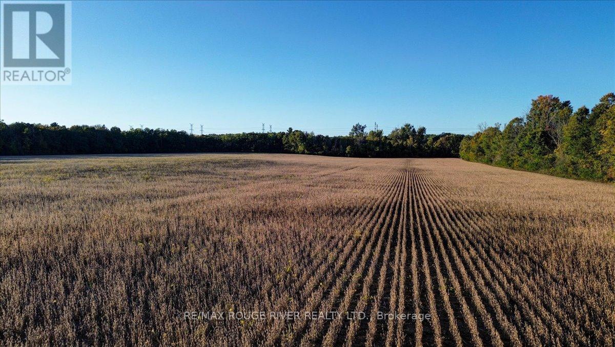 190 Mcbride Road, Alnwick/haldimand, Ontario K0K 1C0 - Photo 32 - X12436222