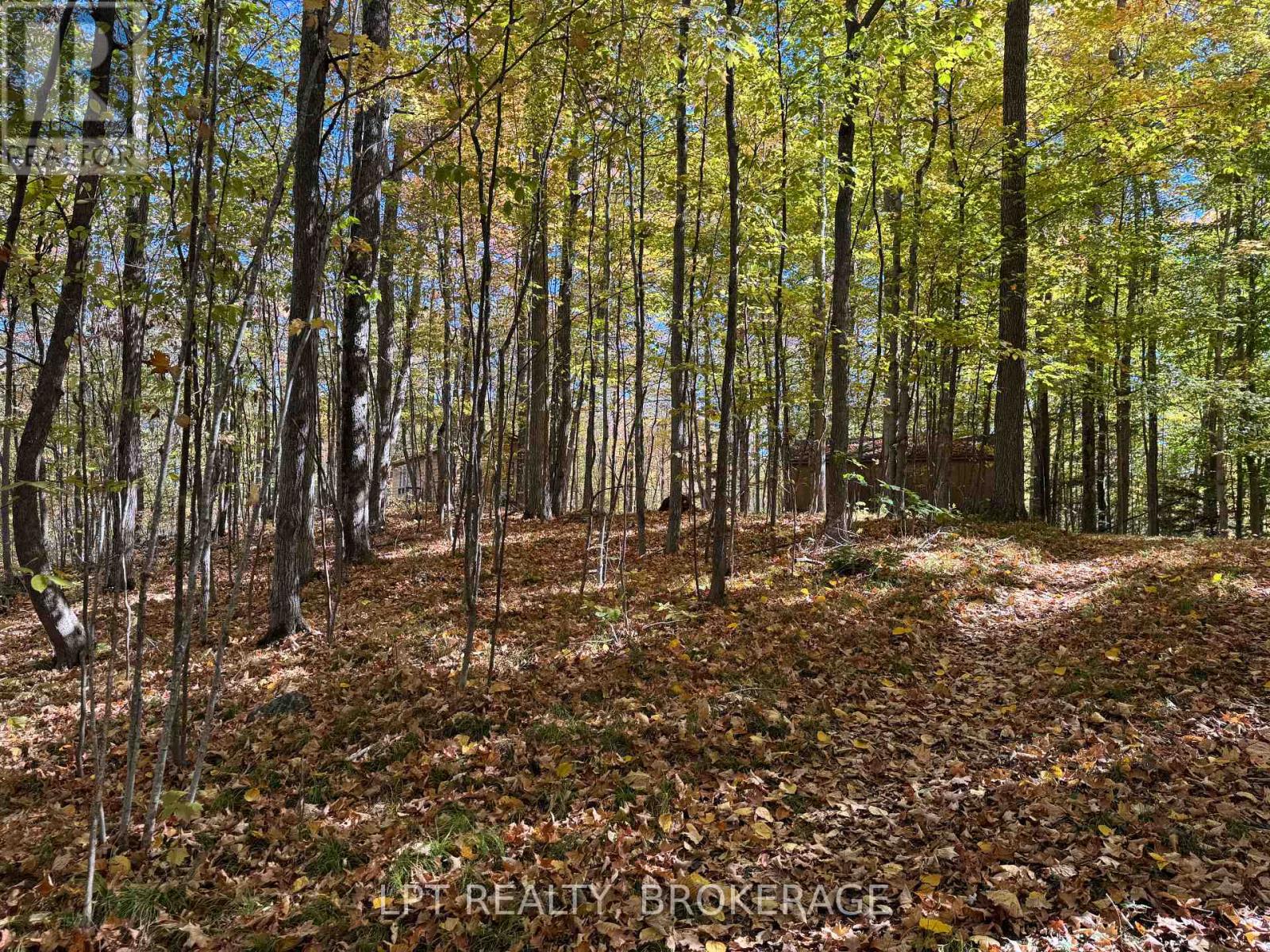 500 Yvon Lane, Rideau Lakes, Ontario  K0G 1X0 - Photo 15 - X12443994