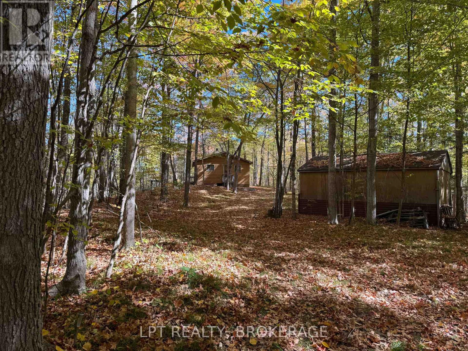 500 Yvon Lane, Rideau Lakes, Ontario  K0G 1X0 - Photo 16 - X12443994