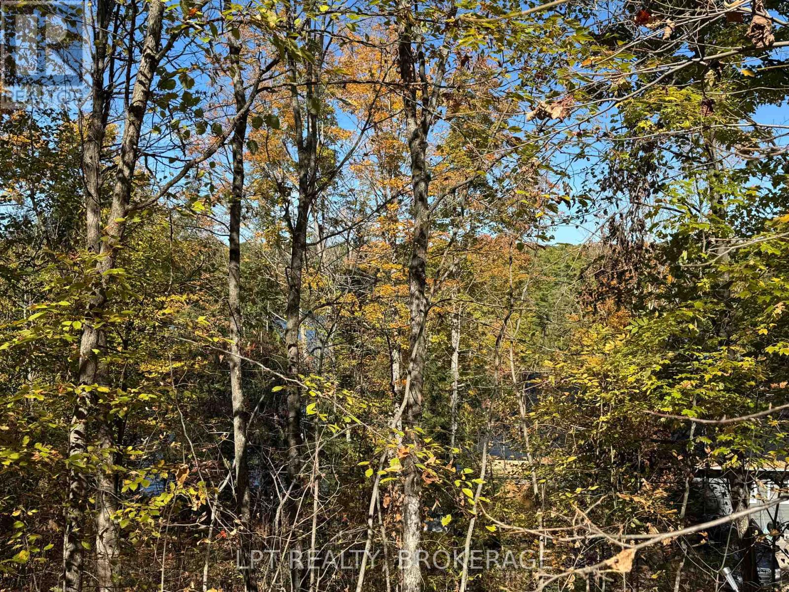 500 Yvon Lane, Rideau Lakes, Ontario  K0G 1X0 - Photo 21 - X12443994