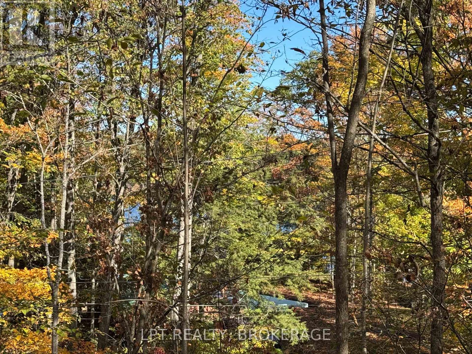 500 Yvon Lane, Rideau Lakes, Ontario  K0G 1X0 - Photo 29 - X12443994