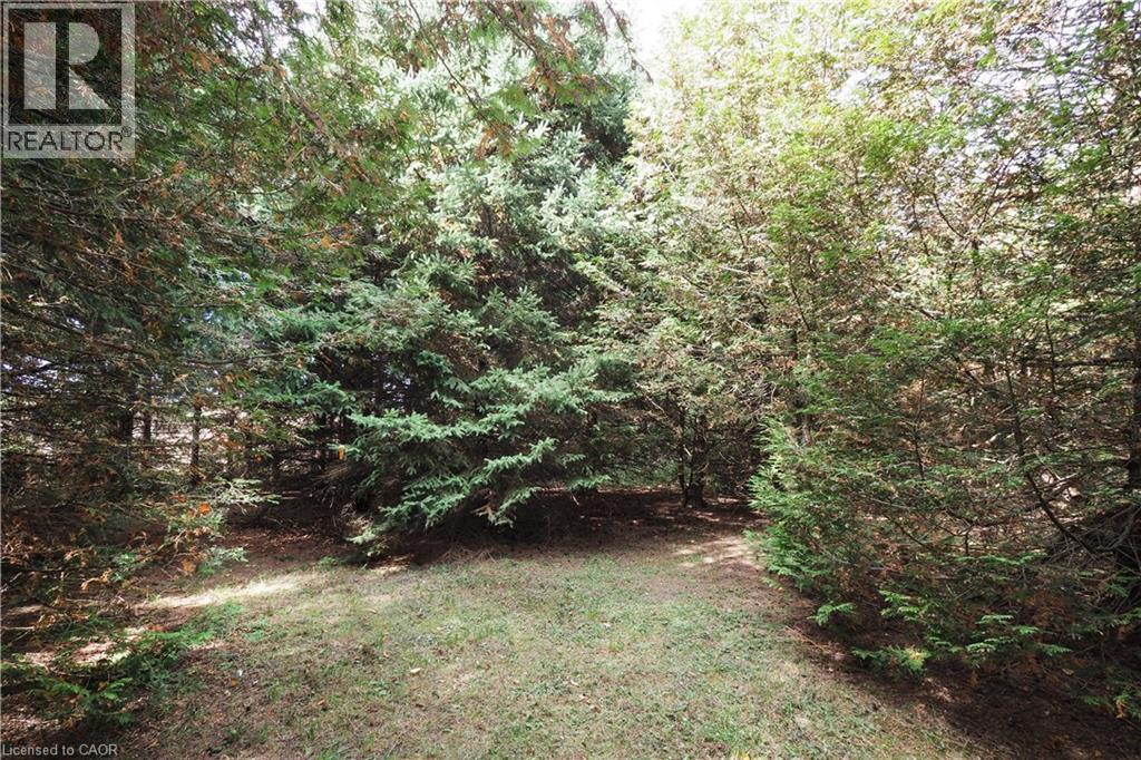 18 Baird Street N, Bright, Ontario  N0J 1B0 - Photo 13 - 40776116