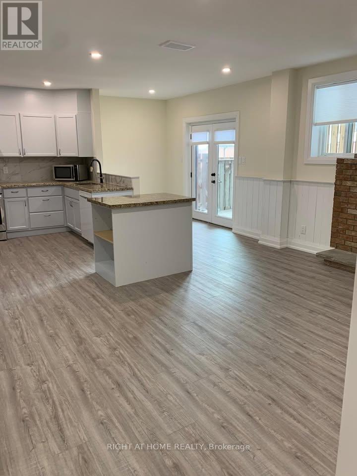 Basement - 1482 Old Forest Road, Pickering, Ontario  L1V 1N9 - Photo 4 - E12443938