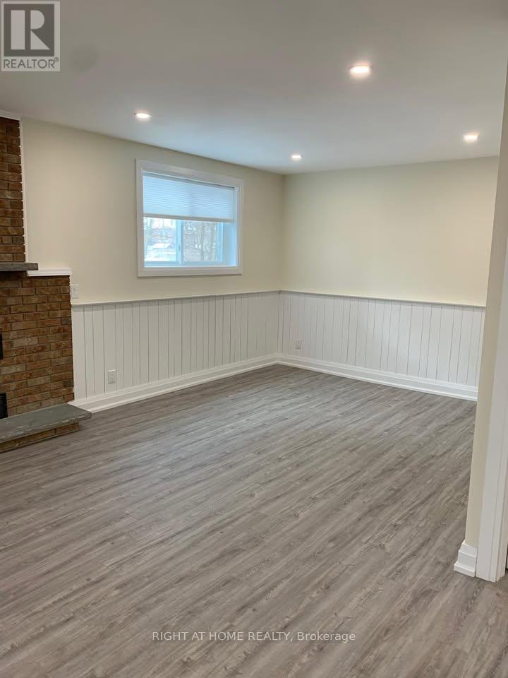 Basement - 1482 Old Forest Road, Pickering, Ontario  L1V 1N9 - Photo 6 - E12443938