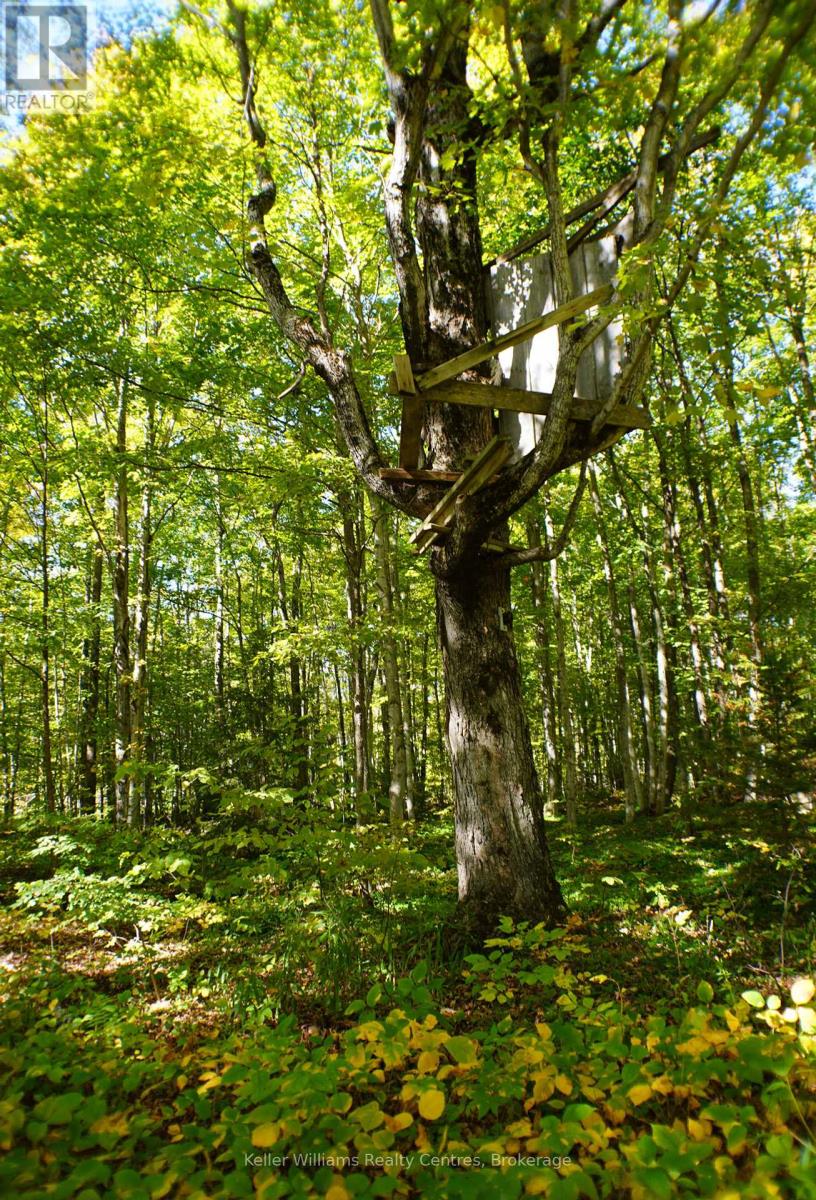 462625 Concession 24 Road, Georgian Bluffs, Ontario  N0H 2T0 - Photo 47 - X12444037