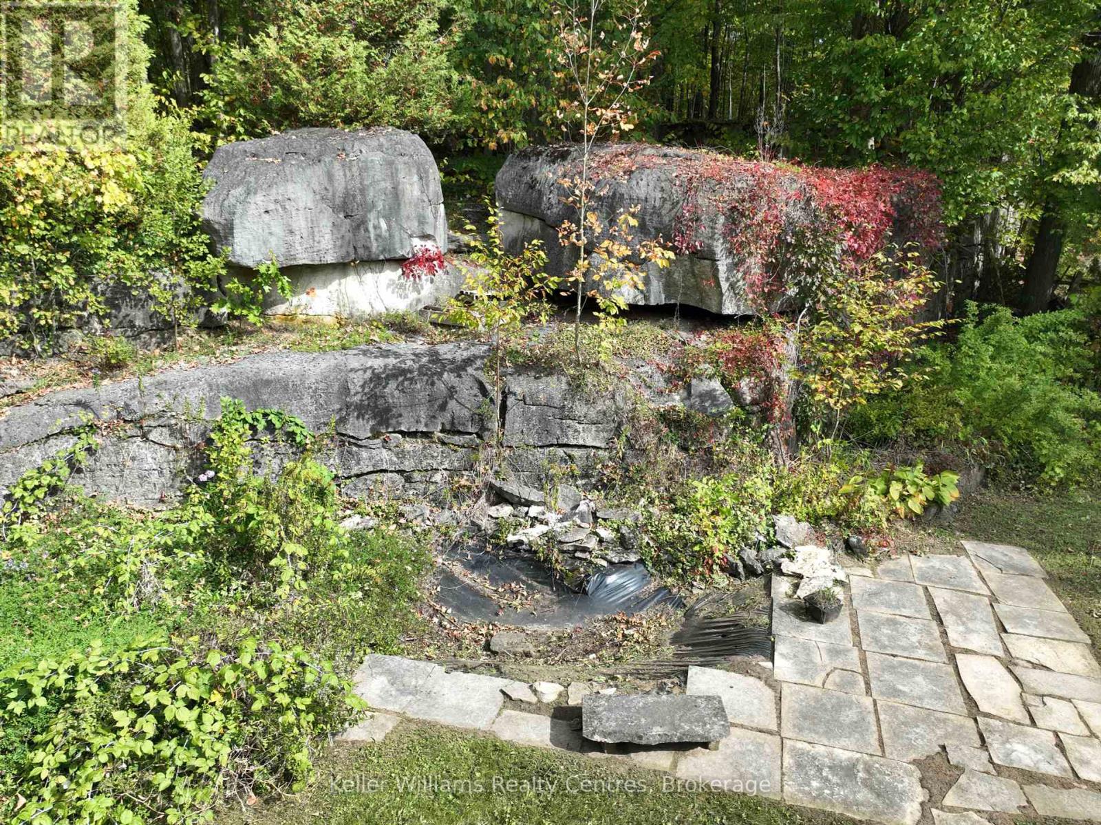 462625 Concession 24 Road, Georgian Bluffs, Ontario  N0H 2T0 - Photo 6 - X12444037