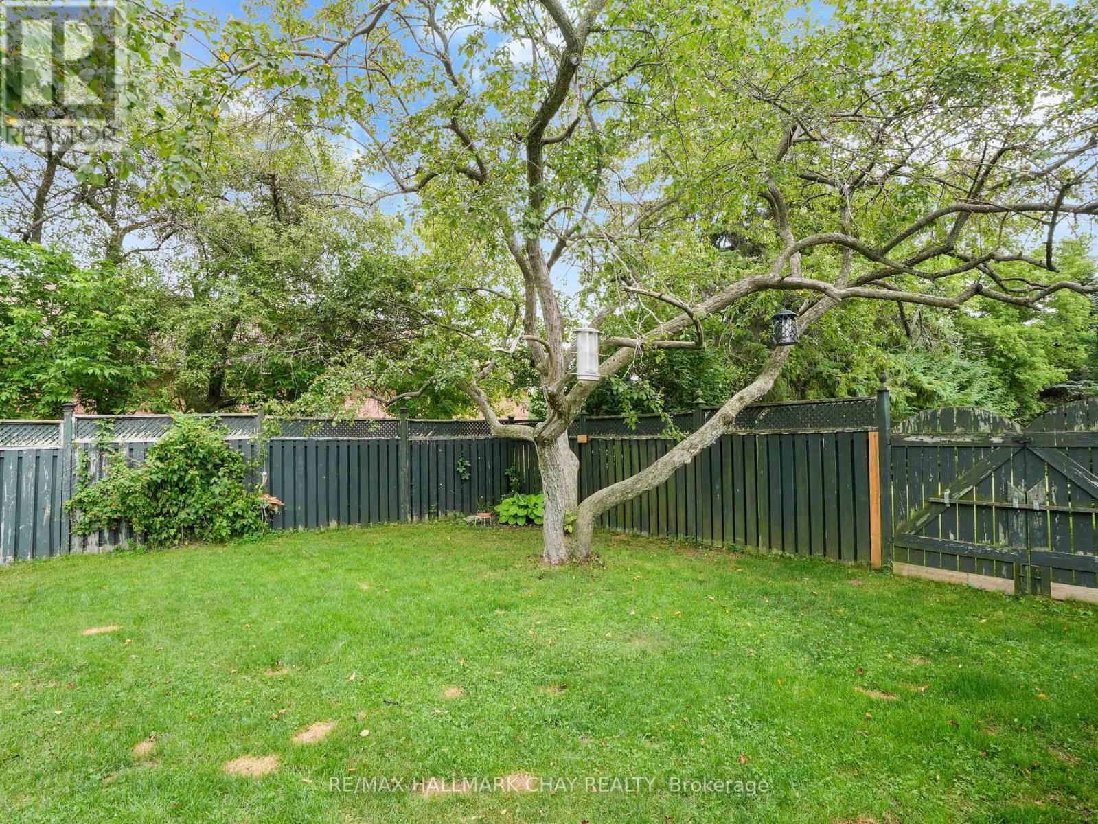 636 Victoria Street E, New Tecumseth, Ontario  L9R 1K1 - Photo 38 - N12443957