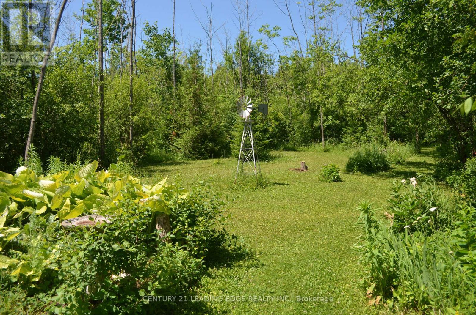 259 George Drive, Kawartha Lakes (Bobcaygeon), Ontario  K0M 1A0 - Photo 5 - X12443936