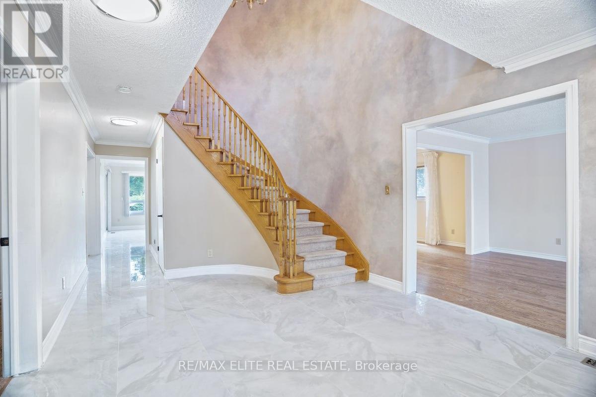 Main - 219 Connaught Avenue, Toronto, Ontario  M2M 1H6 - Photo 13 - C12441947
