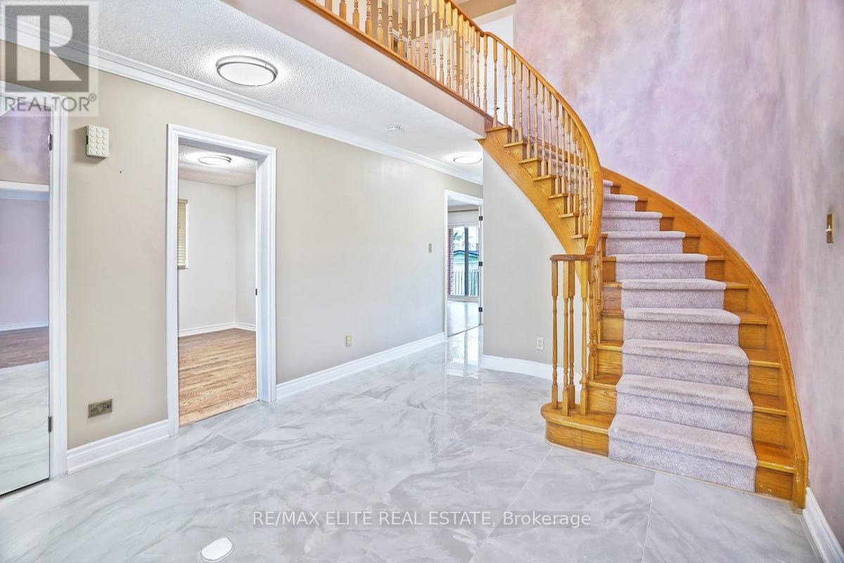 Main - 219 Connaught Avenue, Toronto, Ontario  M2M 1H6 - Photo 12 - C12441947