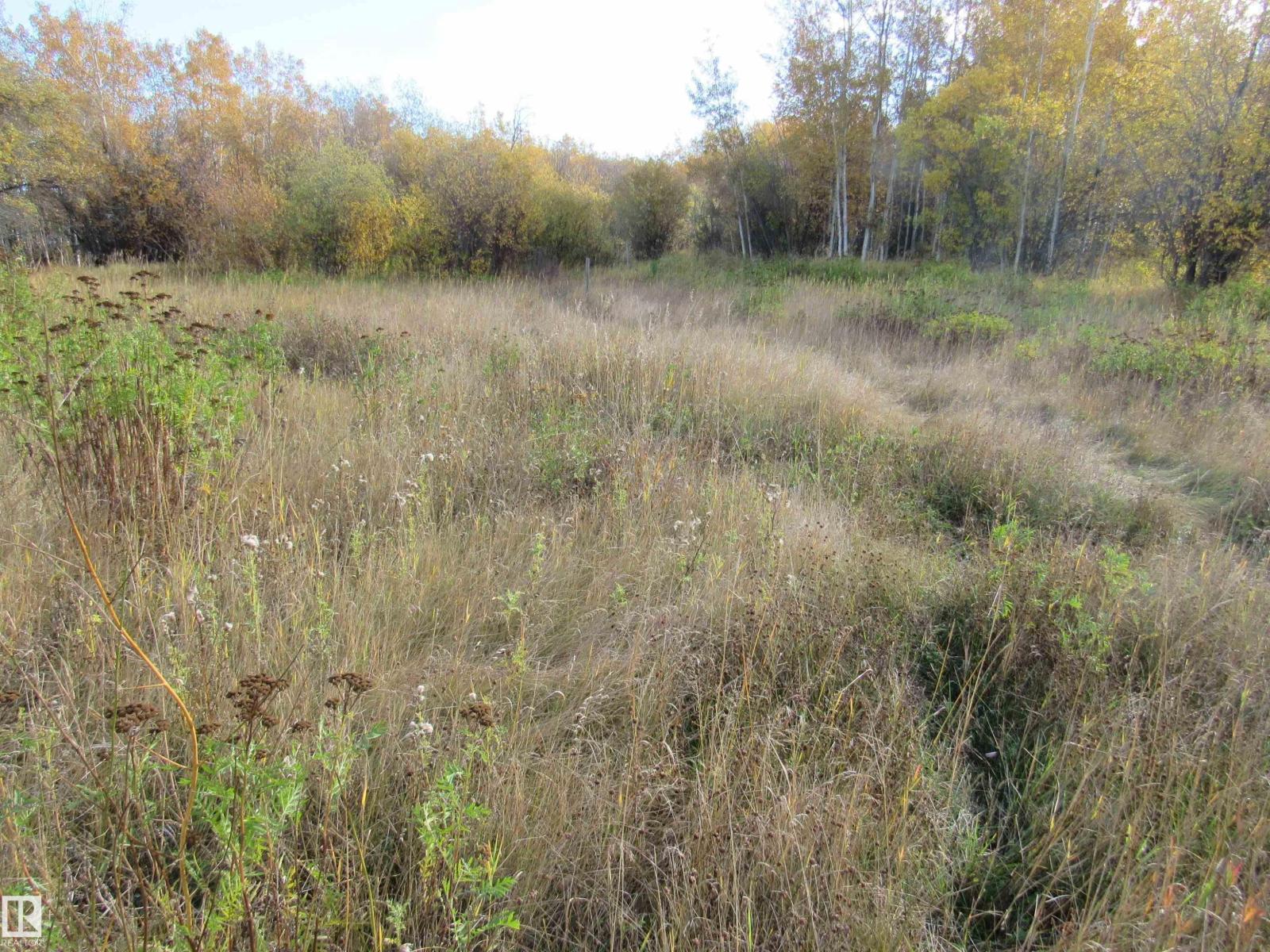 107 2529 Hwy. 651, Rural Barrhead County, Alberta  T0E 1A0 - Photo 4 - E4460745