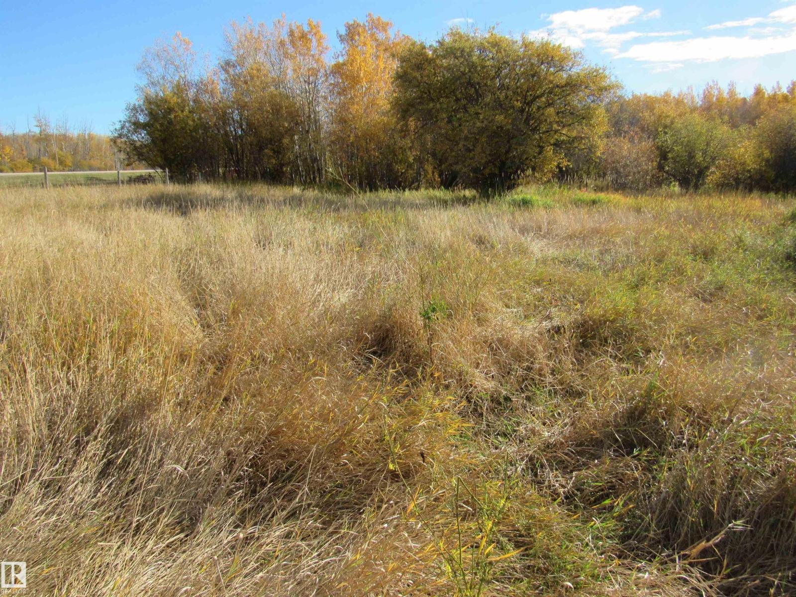 107 2529 Hwy. 651, Rural Barrhead County, Alberta  T0E 1A0 - Photo 5 - E4460745