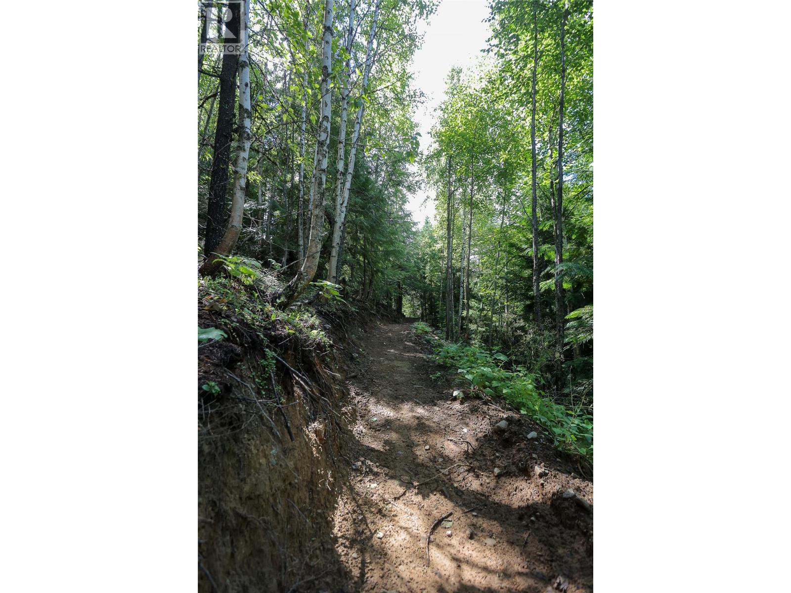 300 Richie Road, Rossland, British Columbia  V0G 1Y0 - Photo 22 - 10358505