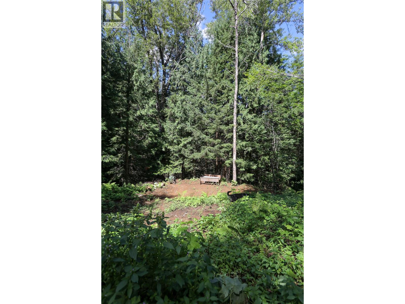 300 Richie Road, Rossland, British Columbia  V0G 1Y0 - Photo 21 - 10358505