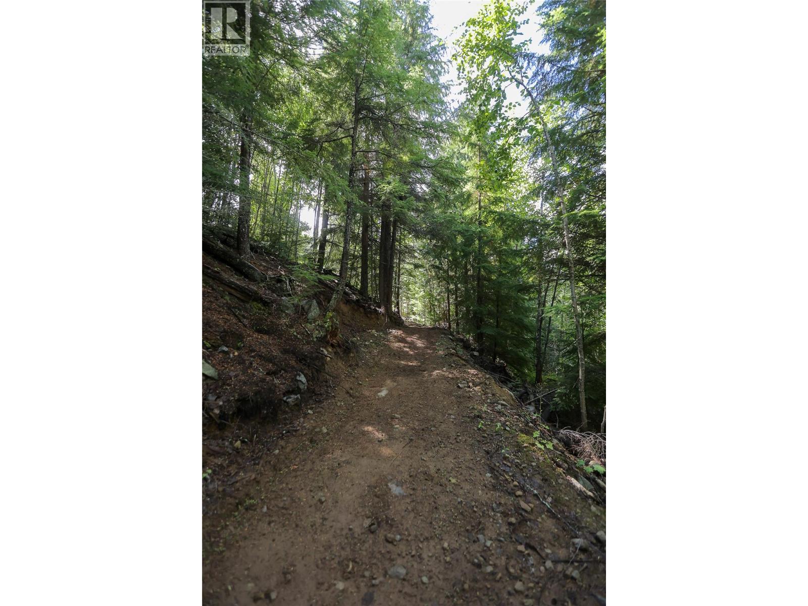 300 Richie Road, Rossland, British Columbia  V0G 1Y0 - Photo 62 - 10358505