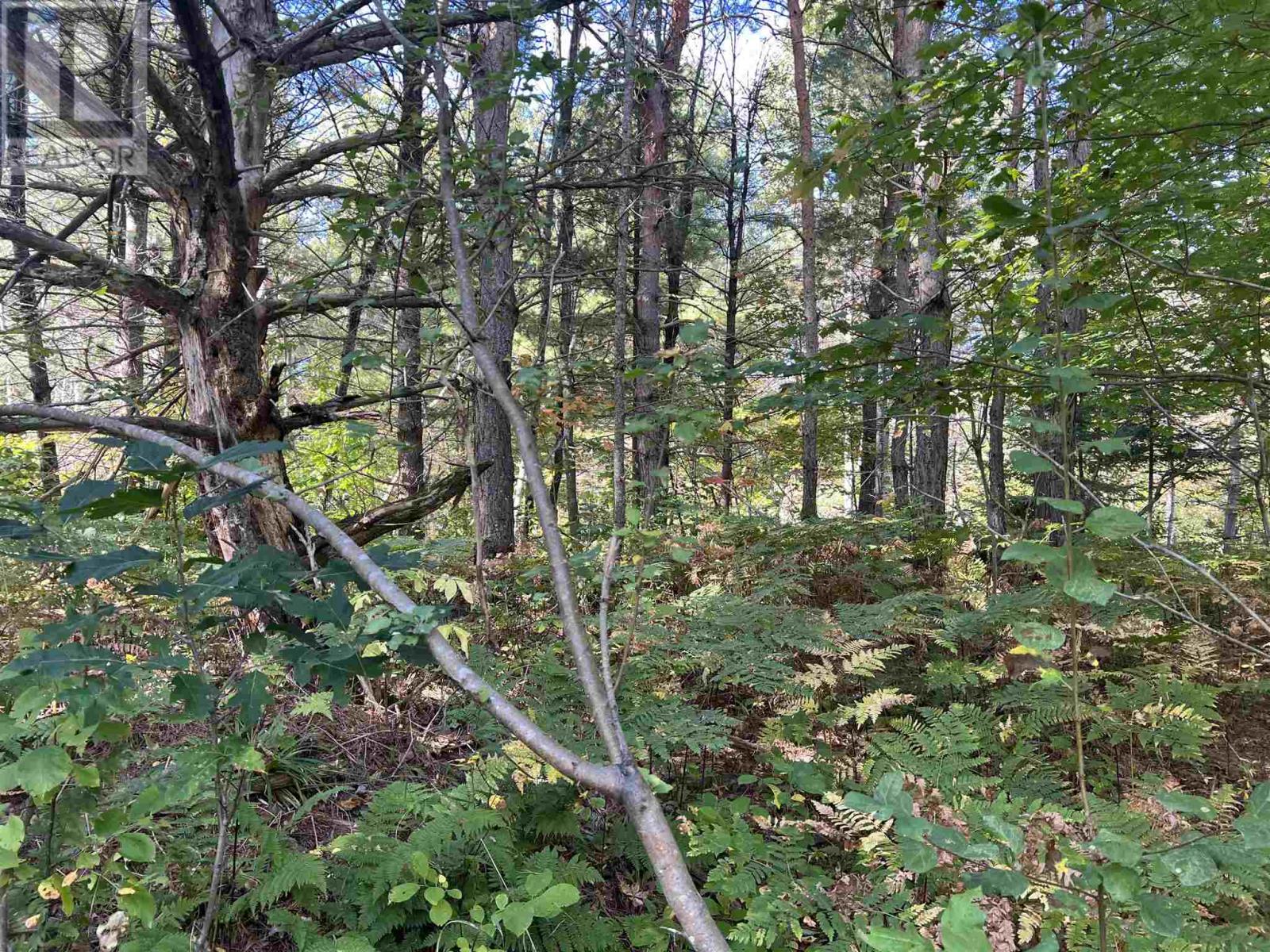 Lot 2 Glen St, Iron Bridge, Ontario  P0R 1L0 - Photo 16 - SM252728