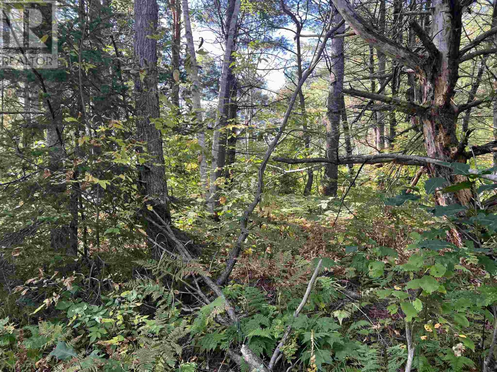 Lot 2 Glen St, Iron Bridge, Ontario  P0R 1L0 - Photo 17 - SM252728