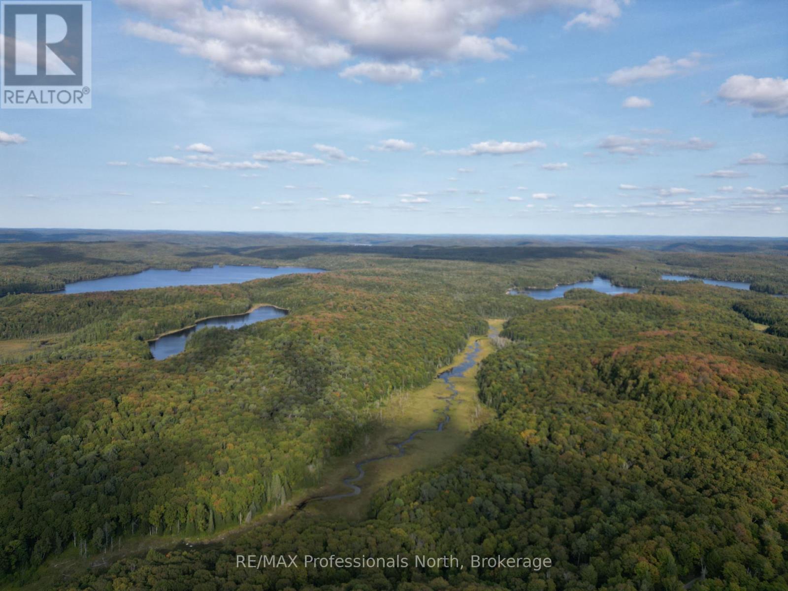 1258 Betula Crescent, Dysart Et Al, Ontario  K0L 1M1 - Photo 11 - X12444209