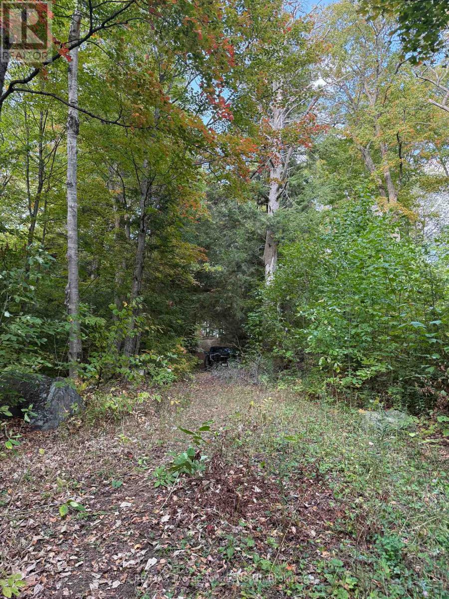 1258 Betula Crescent, Dysart Et Al, Ontario  K0L 1M1 - Photo 16 - X12444209