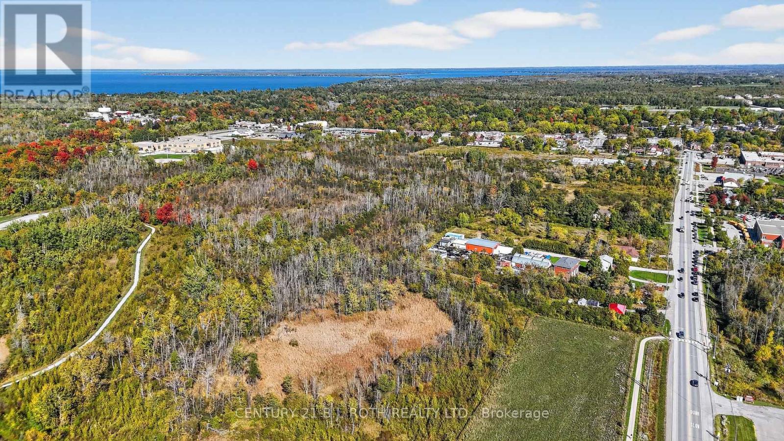 50 Bramsey Street, Georgina (Sutton & Jackson's Point), Ontario  L0E 1R0 - Photo 46 - N12444021