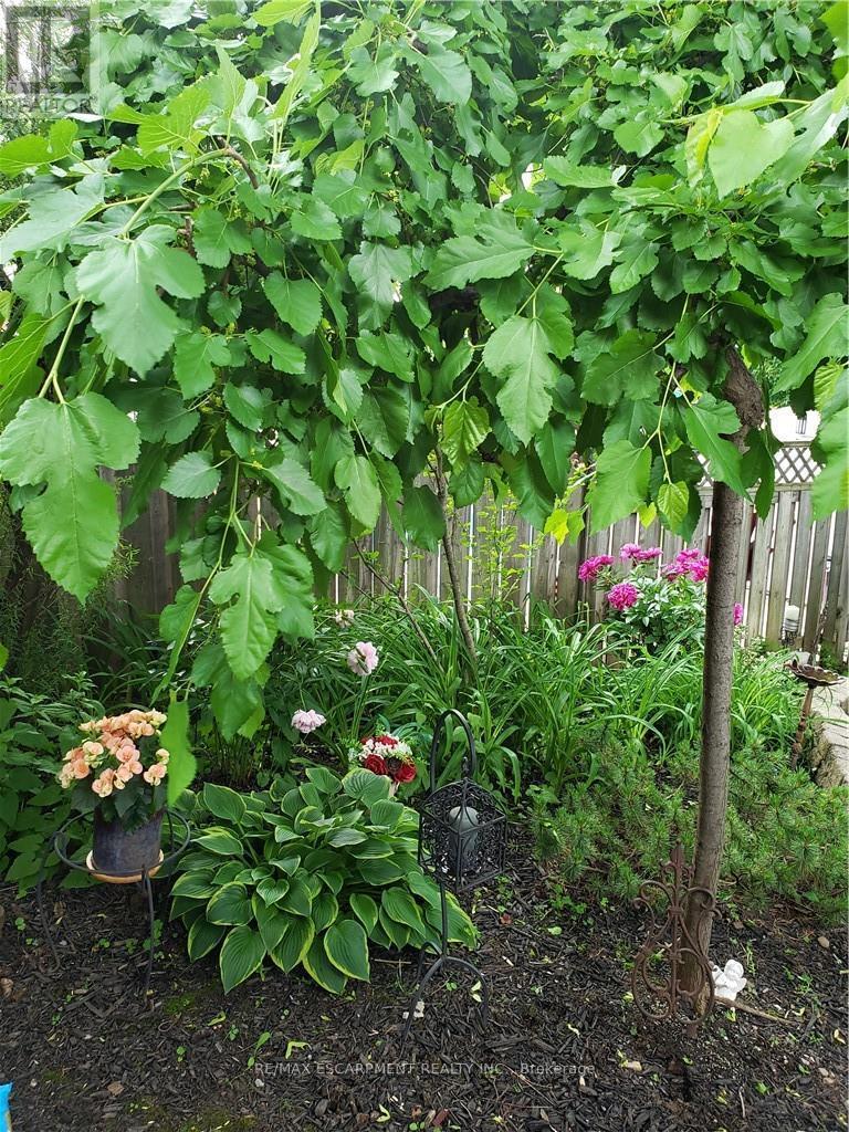 251 East 31st Street, Hamilton, Ontario  L8V 3P6 - Photo 31 - X12382722
