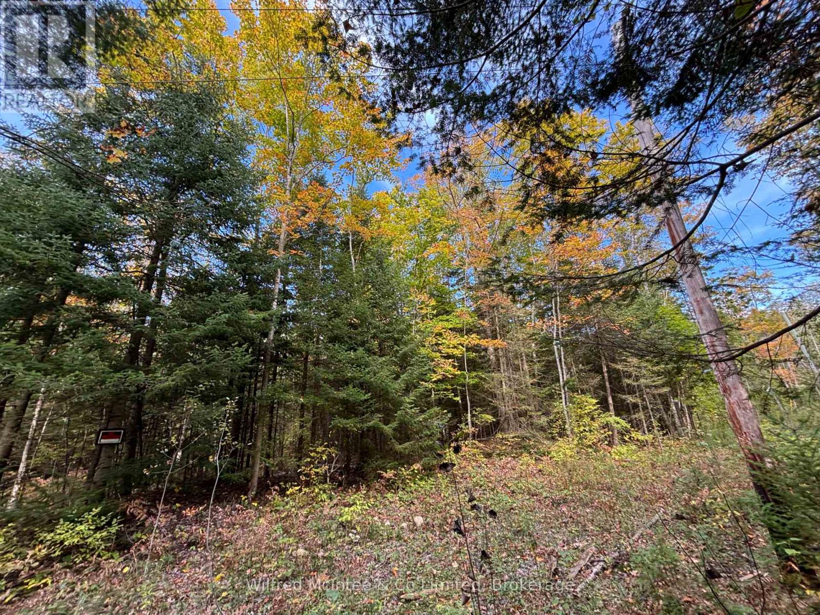 78 Indian Trail, South Bruce Peninsula, Ontario  N0H 2T0 - Photo 11 - X12441888