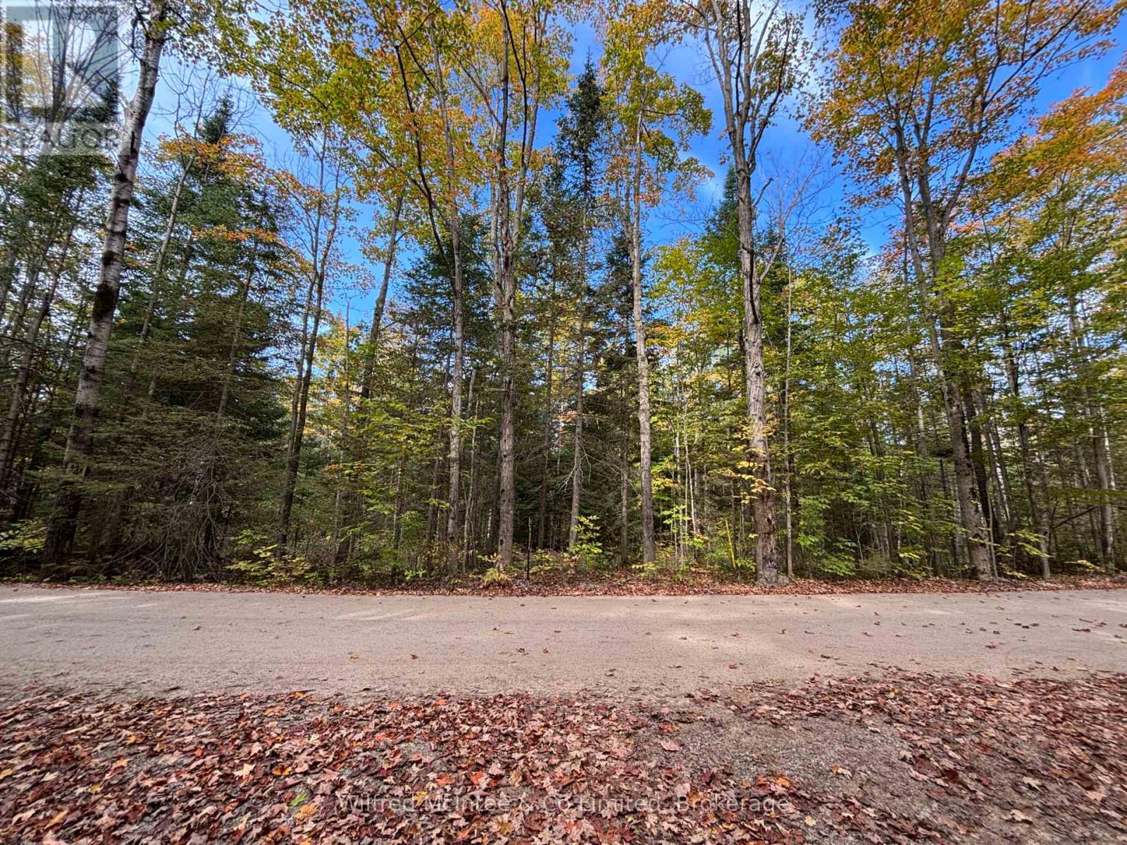 78 Indian Trail, South Bruce Peninsula, Ontario  N0H 2T0 - Photo 13 - X12441888