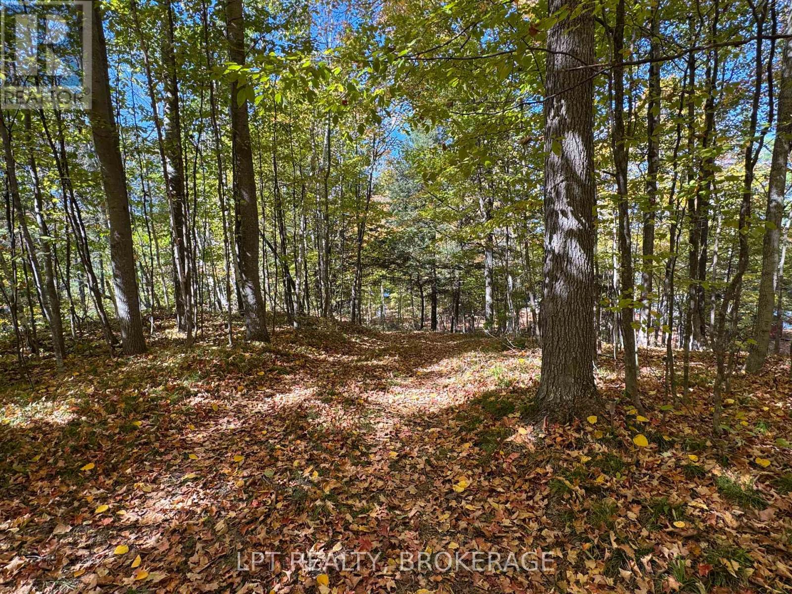 500 Yvon Lane, Rideau Lakes, Ontario  K0G 1X0 - Photo 31 - X12443994
