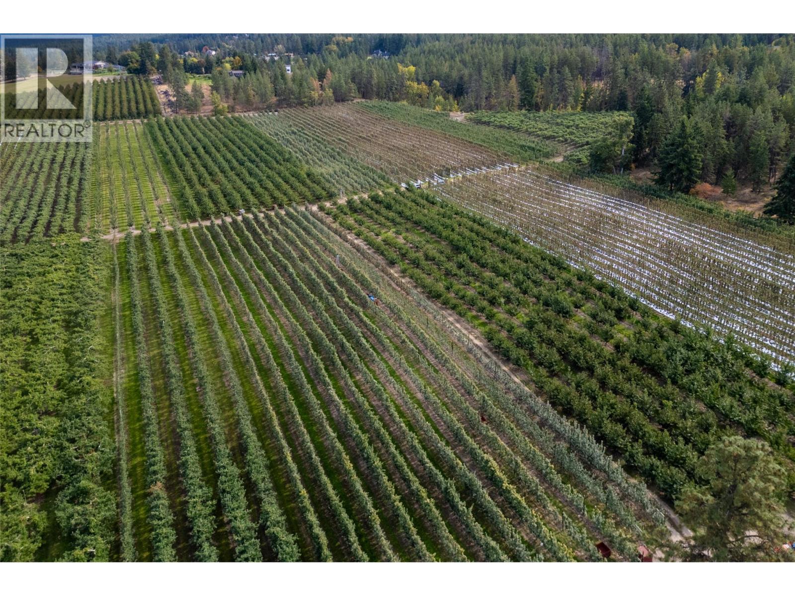3155 Prospect Road, Kelowna, British Columbia  V1W 4P7 - Photo 37 - 10364863