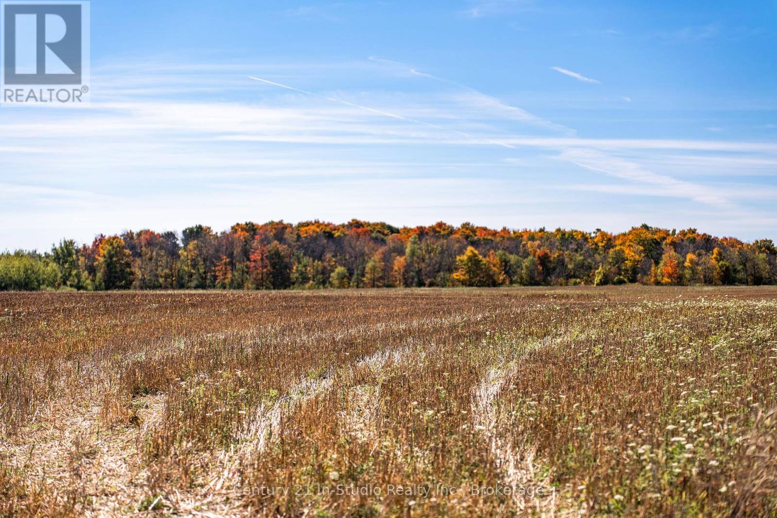 374518 6th Line, Amaranth, Ontario  L9W 0M7 - Photo 29 - X12444230