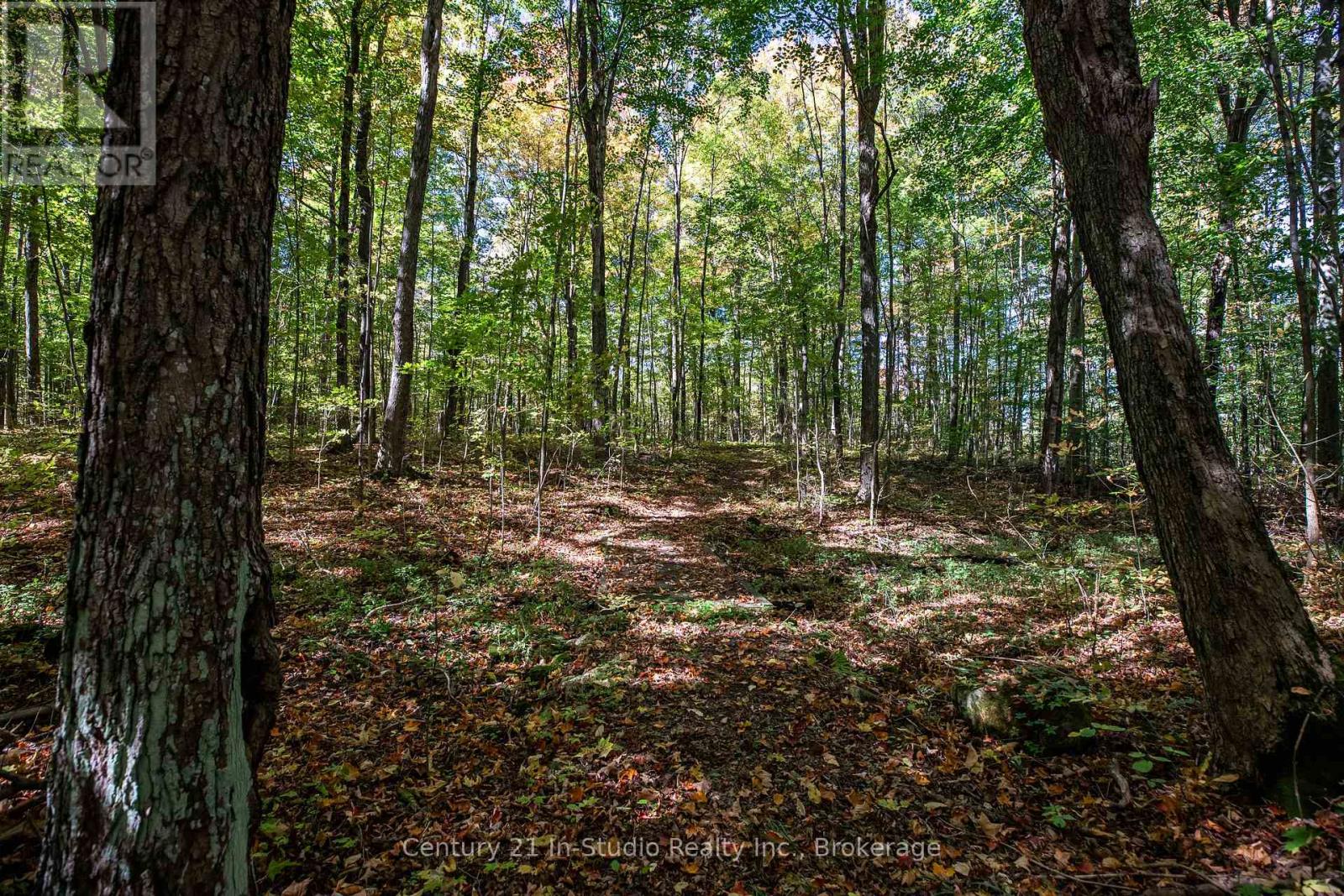 374518 6th Line, Amaranth, Ontario  L9W 0M7 - Photo 35 - X12444230