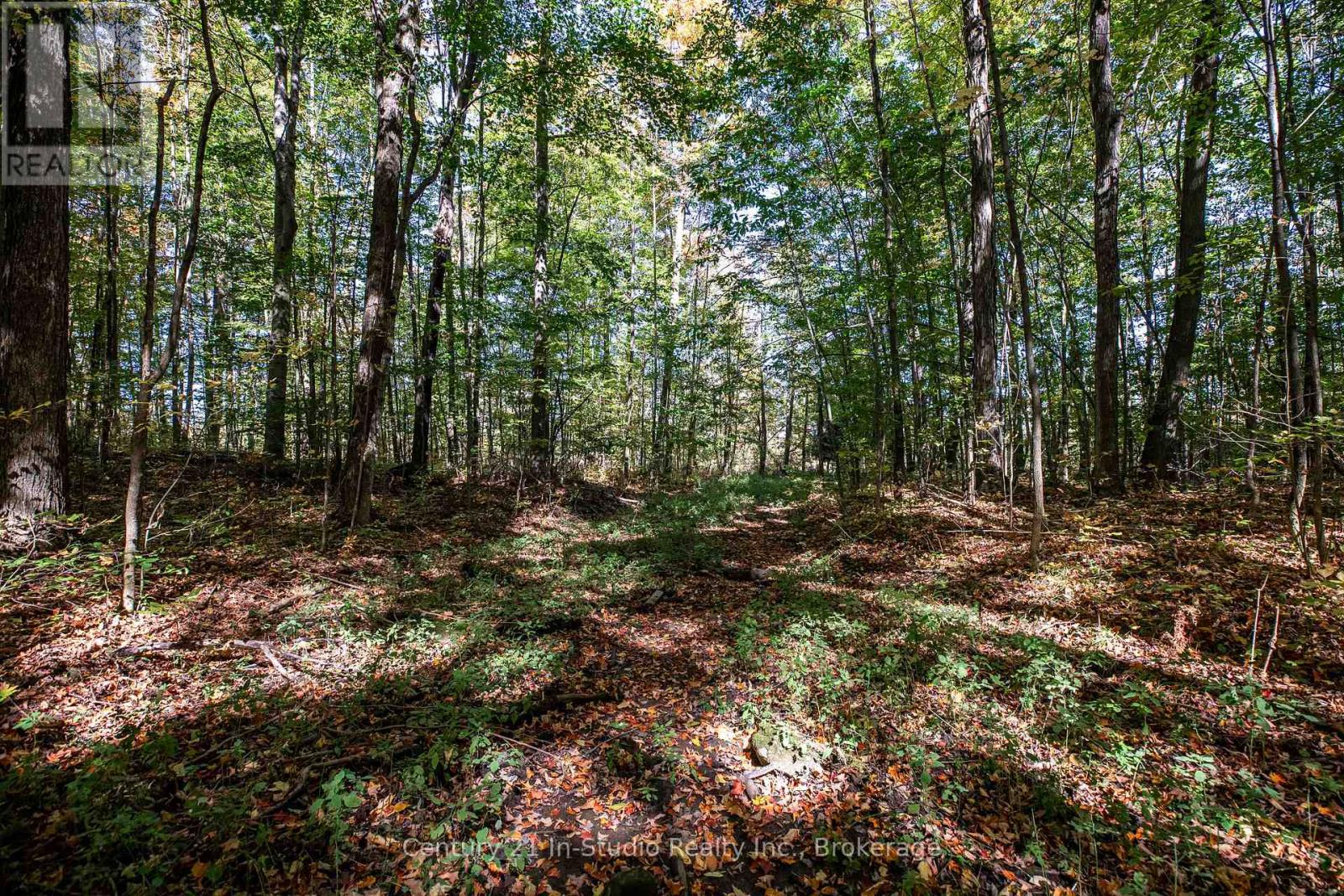 374518 6th Line, Amaranth, Ontario  L9W 0M7 - Photo 37 - X12444230