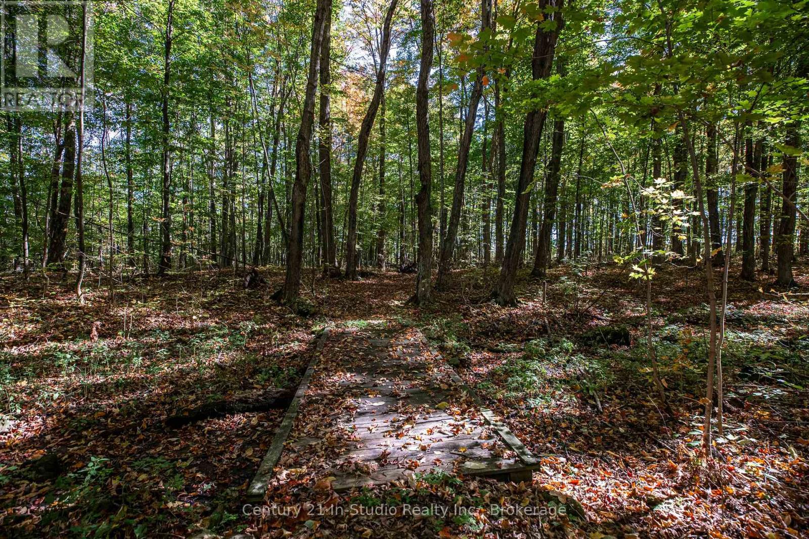 374518 6th Line, Amaranth, Ontario  L9W 0M7 - Photo 38 - X12444230