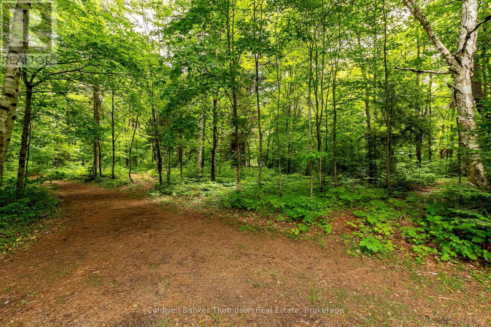 623 141 Highway, Huntsville, Ontario  P0B 1M0 - Photo 43 - X12444253