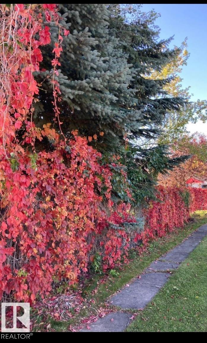 4713 34 St, Rural Wetaskiwin County, Alberta  T0C 2C0 - Photo 3 - E4440348