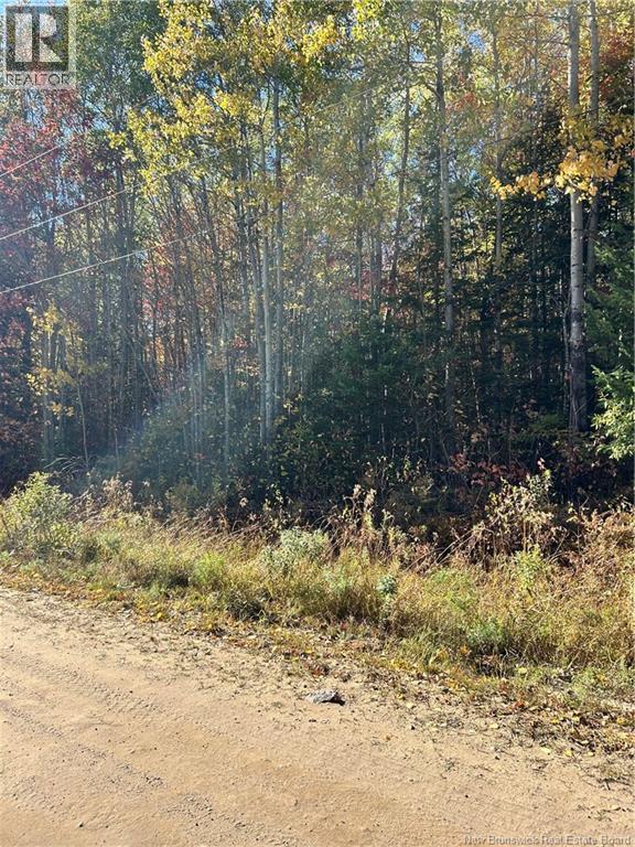 Lot Saint-Augustine Road, Beersville, New Brunswick  E4T 2N8 - Photo 3 - NB126945