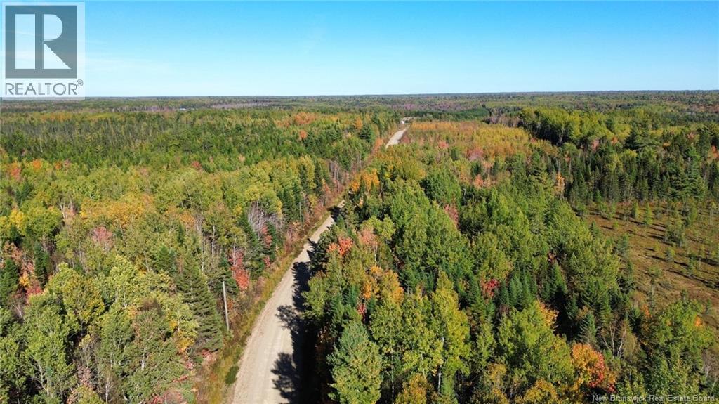 Lot Saint-Augustine Road, Beersville, New Brunswick  E4T 2N8 - Photo 4 - NB126945