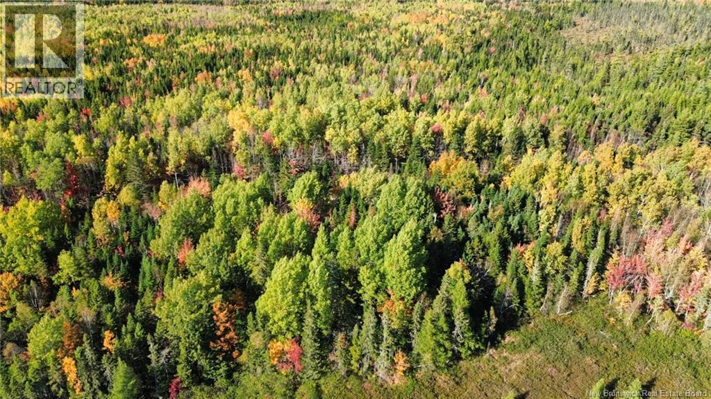 Lot Saint-Augustine Road, Beersville, New Brunswick  E4T 2N8 - Photo 8 - NB126945