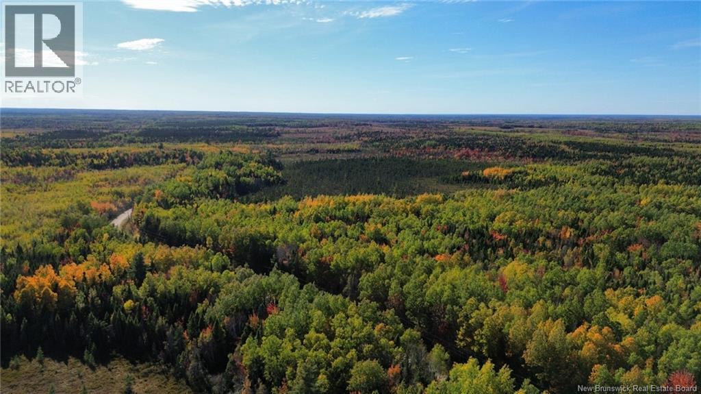 Lot Saint-Augustine Road, Beersville, New Brunswick  E4T 2N8 - Photo 10 - NB126945