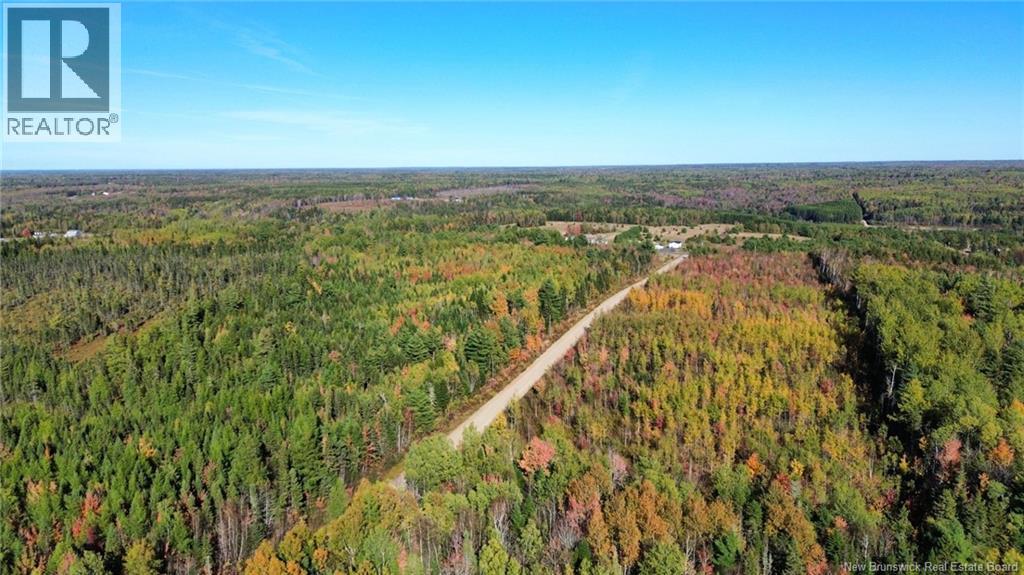Lot Saint-Augustine Road, Beersville, New Brunswick  E4T 2N8 - Photo 7 - NB126945
