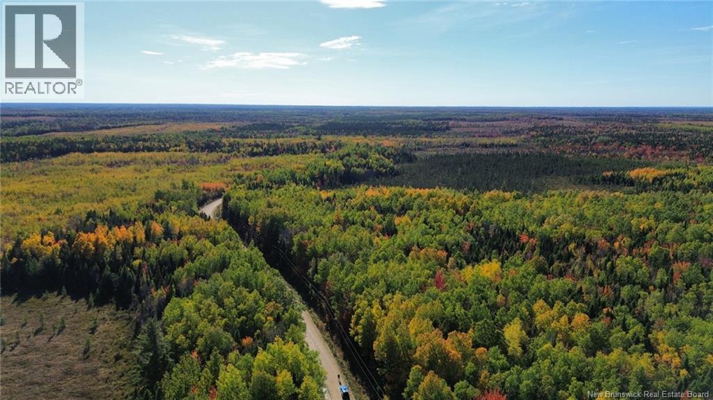 Lot Saint-Augustine Road, Beersville, New Brunswick  E4T 2N8 - Photo 6 - NB126945