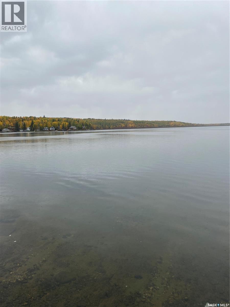 1235 Lakeside Road, Bjorkdale Rm No. 426, Saskatchewan  S0E 0E0 - Photo 10 - SK020019